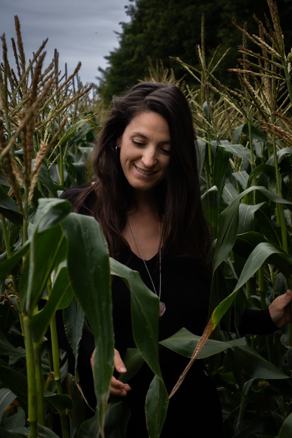 Megan in a cornfield looking down